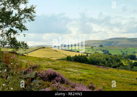 Una vista delle colline sopra Glossop nel parco nazionale di Peak District Foto Stock