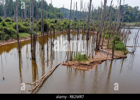 Thakhek, Laos - Aprile 20, 2018: gli alberi morti circondata da una foresta vicino a Nam Theun villaggio nel sud Laos durante la stagione secca Foto Stock