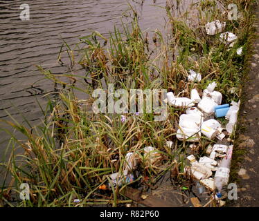 Inquinamento di plastica sul canale di Forth e Clyde presso la banca tra le piante utilizzate per supportare la fauna selvatica Foto Stock