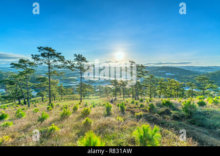 Alba sul plateau quando il sole si è svegliato alla foresta di pini sotto la collina per dare il benvenuto al nuovo giorno in pace. Foto Stock