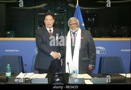 (181213) -- STRASBURGO, 13 dicembre 2018 (Xinhua) -- Losang Jamcan (L), direttore del comitato permanente della Cina in Tibet regionale autonoma del popolo, si incontra con Nirj Deva, vice presidente del Parlamento europeo il Comitato di sviluppo e presidente dell'UE-Cina Gruppo di amicizia, presso il Parlamento europeo a Strasburgo, Francia, Dic 11, 2018. Una delegazione tibetana del congresso nazionale del popolo cinese (NPC) ha visitato il Parlamento europeo a Strasburgo, Francia, martedì. La delegazione, guidata da Losang Jamcan, si è incontrato con i membri del Parlamento europeo ed ha risposto alla ricerca Foto Stock