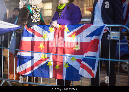 Londra, Regno Unito. Dodicesimo Dicembre, 2018. Brexit manifestanti fuori le case del parlamento , 12 dic 2018 Credit: George Wright Cracknell/Alamy Live News Foto Stock