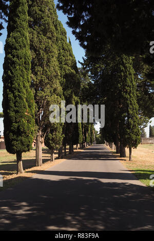 Fila di italiano di cipressi sulla famosa via Appia Antica Foto Stock