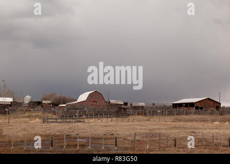 Il vecchio granaio rosso con edificio rosso con il bestiame paddock in legno bianco e silo su un terreno coltivato campo rivestita dal palo di legno e filo di spintore in Alberta Foto Stock