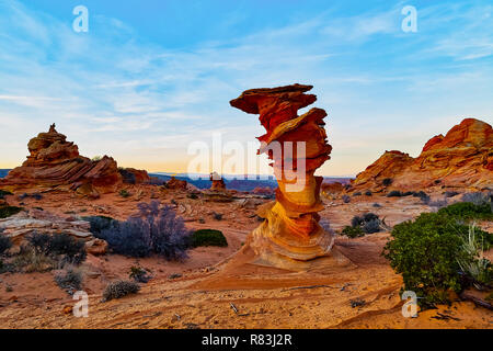 Sud Cayote Buttes Arizona Foto Stock