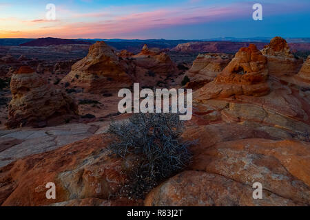 Sud Cayote Buttes Arizona Foto Stock