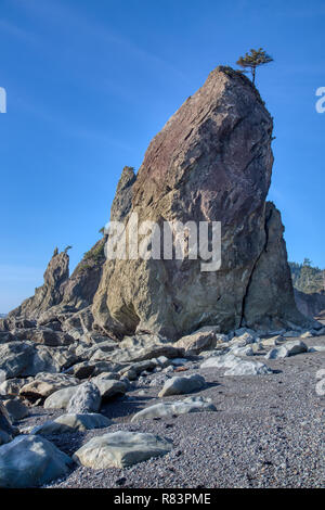Pile di mare a Rialto Beach, su Washington della costa del Pacifico. Foto Stock