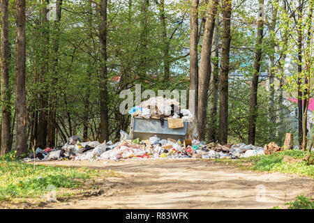 Discarica di rifiuti nella foresta. L'inquinamento della natura. Foto Stock