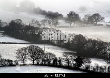 Guardando verso il basso sulla coperta di neve inglese farmland. Con alberi stagliano su un freddo, inverni, nebbioso giorno. Foto Stock