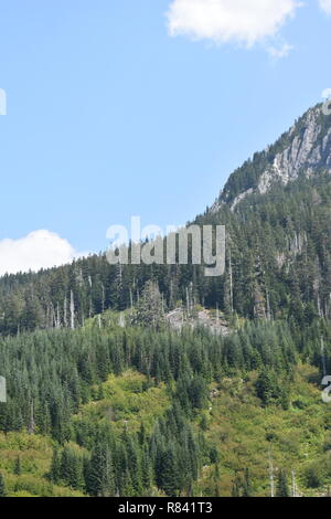 Scenic mountain trail e punti di vista di entrambe Bearhead Trail e il granito laghi del nord-ovest del Pacifico. Stato di Washington Mt. Rainer prende lo sfondo. Foto Stock