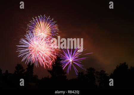 Coloratissimo spettacolo di fuochi d'artificio su un cielo scuro sfondo; celebrazioni, feste, Giorno di indipendenza, il 4 di luglio o il nuovo anno Foto Stock