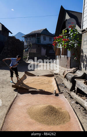 Villaggio Kigwema, Nagaland. Foto Stock