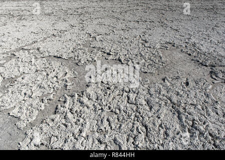 Dry Lake bed con consistenza naturale di argilla incrinato e sale sulla terra causa di disidratazione per un lungo periodo di tempo, Nxai Pan National Park, Botswana Foto Stock