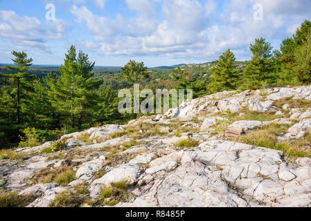 Bianco affioramenti di quarzite sul La Cloche Silhouette Trail, Killarney Provincial Park, Ontario, Canada Foto Stock