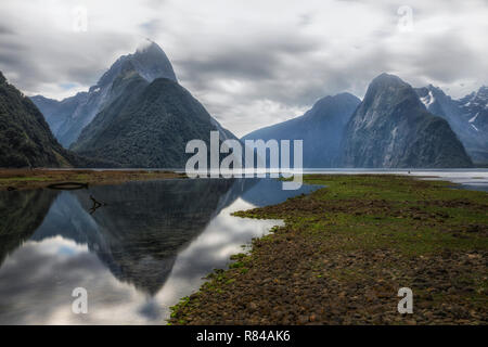 Milford Sound, Isola del Sud, Fiordland, Nuova Zelanda Foto Stock