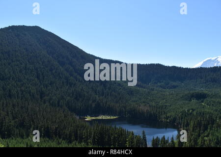 Foto escursionistiche Addiitional da Bearhead Trail / vista di mt rainier. Foto Stock