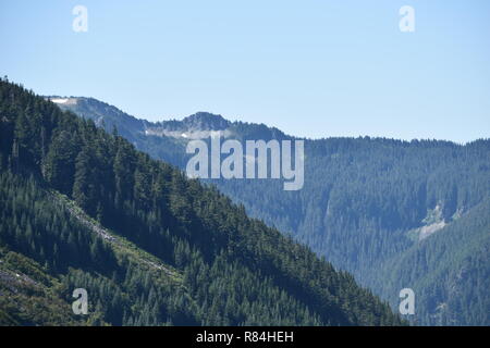 Foto escursionistiche Addiitional da Bearhead Trail / vista di mt rainier. Foto Stock