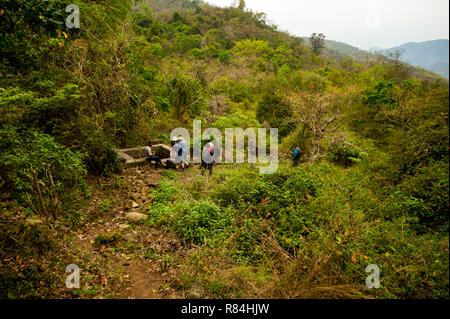 La molla vicino al vecchio albero di mango a) Percorrere villaggio sulle colline di Kumaon, reso famoso da Jim Corbett nel suo libro Maneaters del Kumaon, Uttarakhand, India Foto Stock