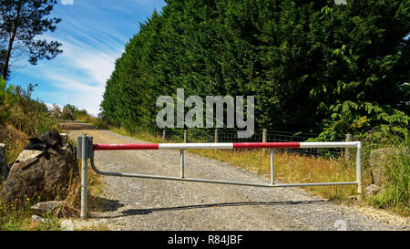Nessuna voce, una porta bloccata su un blocco di selvicoltura in Nuova Zelanda. Una carcassa di suino decora rocce adiacenti Foto Stock
