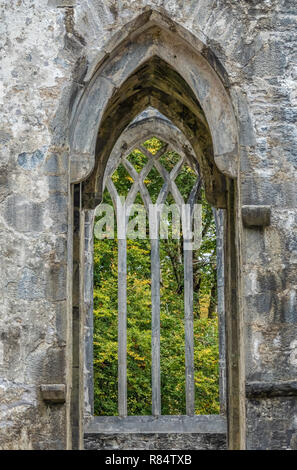 Rovine dell'Abbazia Muckross, fondata nel 1448 come un convento di frati francescani. Parco Nazionale di Killarney, nella contea di Kerry, Irlanda. Foto Stock