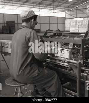 Degli anni Cinquanta, storico, un maschio in tuta da lavoro in un jaffa ritardatari orange deposito a una macchina rendendo la luce delle cassette di legno o delle gabbie utilizzate nel loro imballaggio, Israele. Il jaffa arancione (noto anche come Shamouti arancione) è stato un popolare prodotto di esportazione come aveva pochi semi e una pelle dura.Il nome deriva dalla città di porto di jaffa dove è stato prodotto per la prima volta per l'esportazione. La varietà è stato sviluppato ottomano gli agricoltori in Palestina e in questa epoca la Orange sono state confezionate singolarmente in luce le casse di legno. Foto Stock