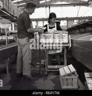 Degli anni Cinquanta, histrocial, un uomo che parla a un lavoratore di sesso femminile che presso la fabbrica di confezionamento per jaffa arance, Israele. Il jaffa arancione (noto anche come Shamouti arancione) è stato un popolare prodotto di esportazione come aveva pochi semi e una pelle dura.Il nome deriva dalla città di porto di jaffa dove è stato prodotto per la prima volta per l'esportazione. Essi sono stati sviluppati dagli agricoltori in Palestina ottomana. In questa epoca le arance sono state confezionate singolarmente ed è venuto alla luce di cassette di legno. Foto Stock