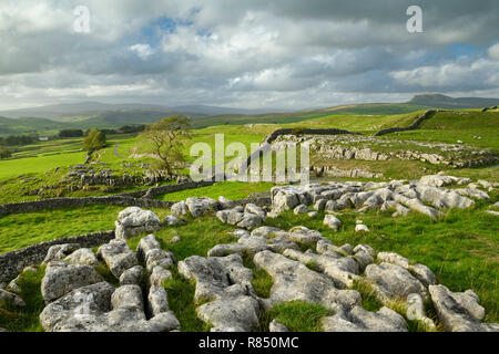 Bellissima vista sulla pavimentazione di pietra calcarea & rullatura upland campagna dal Winskill Stones - vicino a Langcliffe & Stainforth, Yorkshire Dales, Inghilterra, Regno Unito. Foto Stock