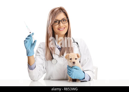 Giovani femmine vet medico tenendo una iniezione per un piccolo cucciolo e guardando la telecamera isolata su sfondo bianco Foto Stock