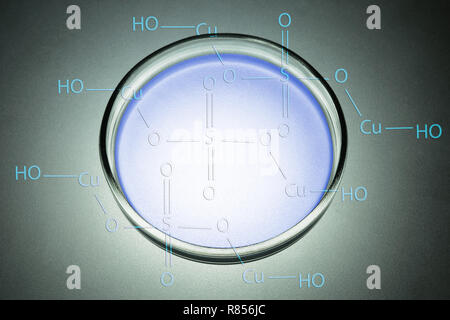 Abstract di piastre di Petri contenenti soluzione di solfato di rame. Formula chimica. Foto Stock