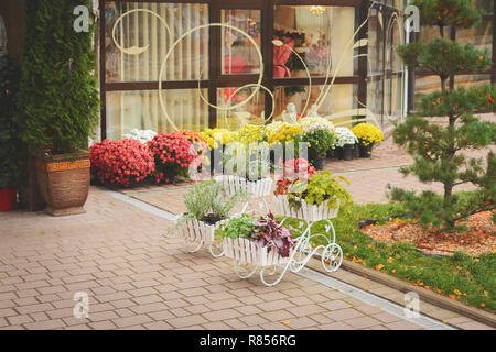 Fiori e piante di stand in vaso in forma di carrelli su strada sul marciapiede Foto Stock