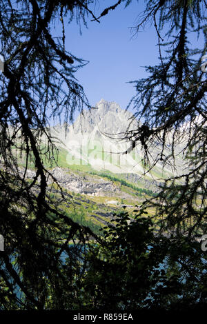 Passeggiate intorno al lago di Sils - Engadina alta valle - Svizzera. Foto Stock