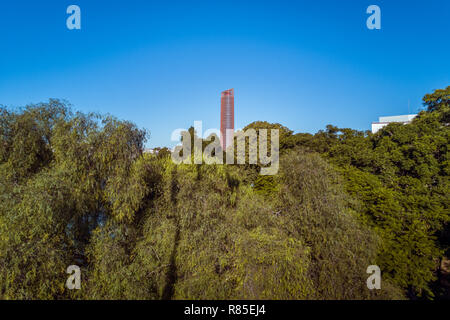 La lussureggiante vegetazione di fronte un grattacielo a Siviglia, Spagna Foto Stock