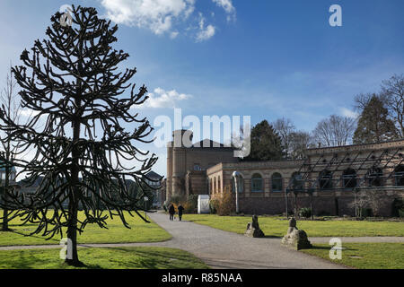 Orangery Karlsruhe o Giardino Botanico Karlsruhe, Germania Foto Stock