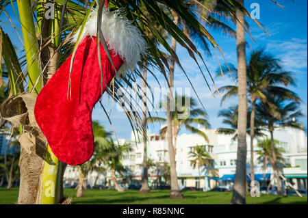 Calza di Natale appesi da Palm tree di fronte a colori tropicali di scena di vacanza a South Beach, Miami, Florida, Stati Uniti d'America Foto Stock