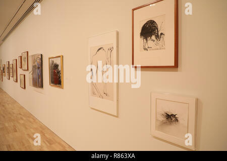 Sydney, Australia. Il 14 dicembre 2018. Questa estate (15 dicembre 2018 - 31 Marzo 2019) La Galleria d'Arte del Nuovo Galles del Sud presenta Brett Whiteley: disegno è tutto, la prima grande mostra Museo di concentrarsi sul posto centrale del disegno in Whiteley di lavoro. I disegni in questa esposizione sono state raramente visto. Credito: Richard Milnes/Alamy Live News Foto Stock