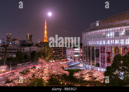 Vista notturna di ciliegia fioritura con la torre di Tokyo come sfondo. Photoed a Mori giardino, Tokyo, Giappone. Foto Stock