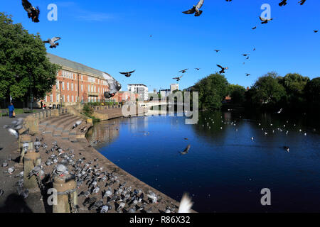 Derby City uffici del Consiglio sulle rive del fiume Derwent, Derby City Centre, Derbyshire, England, Regno Unito Foto Stock