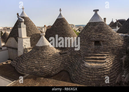 Il tetto della Casa dei Trulli. Tipica casa storica di Alberobello la città. Destinazione di vacanza in Puglia. Italia Foto Stock