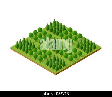 Isometrica, 3d alberi foresta camping natura elementi di sfondo bianco per la progettazione paesaggistica. Illustrazione di vettore isolato. Le icone per le mappe delle città, giochi e Illustrazione Vettoriale