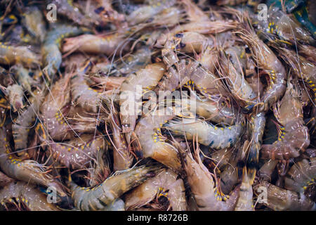 Frutti di mare gamberetti per vendere memorizzato nella casella dal mercato del pesce in Asia Vietnam. Foto Stock