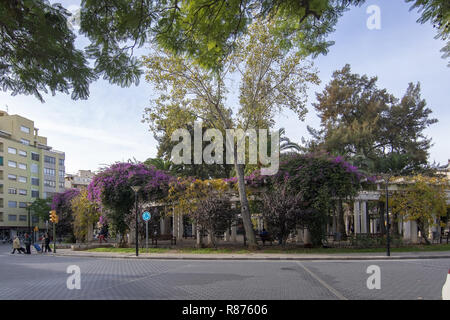 PALMA DE MALLORCA, Spagna - 01 dicembre, 2018: città giardino con fiori di bouganville sul dicembre 01, 2018 in Palma de Mallorca, Spagna. Foto Stock