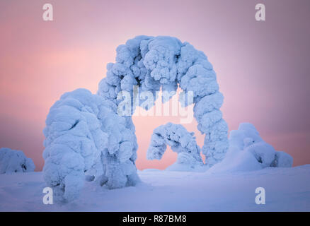 Riisitunturi in inverno, Kuusamo, Lapponia, Finlandia Foto Stock