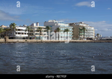 CAN PASTILLA, MALLORCA, Spagna - 25 novembre 2018: Gabbiani nella baia e BQ Aquamarina hotel fronte oceano forti venti in una giornata di sole su 25 Novembre 2 Foto Stock