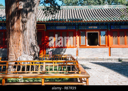 Il Tempio di Confucio, architettura storica a Pechino in Cina Foto Stock