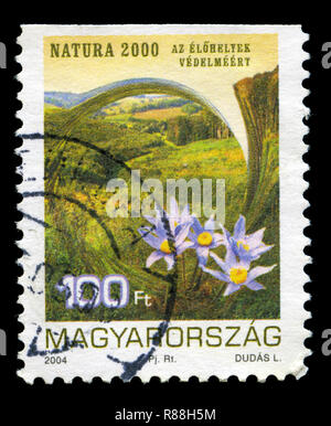 Francobollo dall'Ungheria nell'ambiente serie di protezione emesso nel 2004 Foto Stock