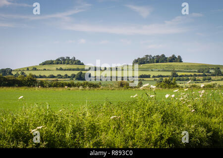 Wittenham Clumps, Oxfordshire, da ovest con collina rotonda a sinistra e la Collina del Castello a destra Foto Stock