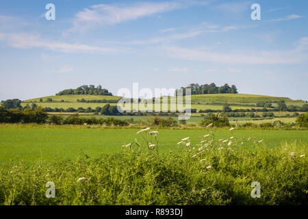 Wittenham Clumps, Oxfordshire, da ovest con collina rotonda a sinistra e la Collina del Castello a destra Foto Stock