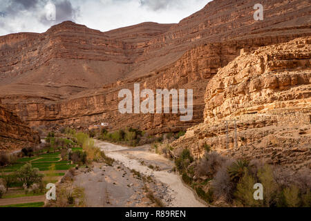 Il Marocco, Todra Gorge, Tinghir, Timadal, verdi irrigati campi agricoli accanto al fiume Todra Foto Stock