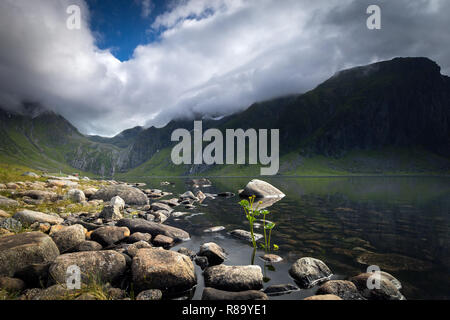 Nedre Heimredalsvatnet area vicino Eggum - incredibile lago di cristallo circondata da alte montagne. Vacanze estive nelle Isole Lofoten in Norvegia del nord. Foto Stock