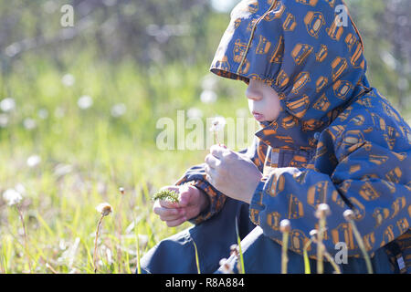 Bambino felice soffiando tarassaco all'aperto nel parco Foto Stock